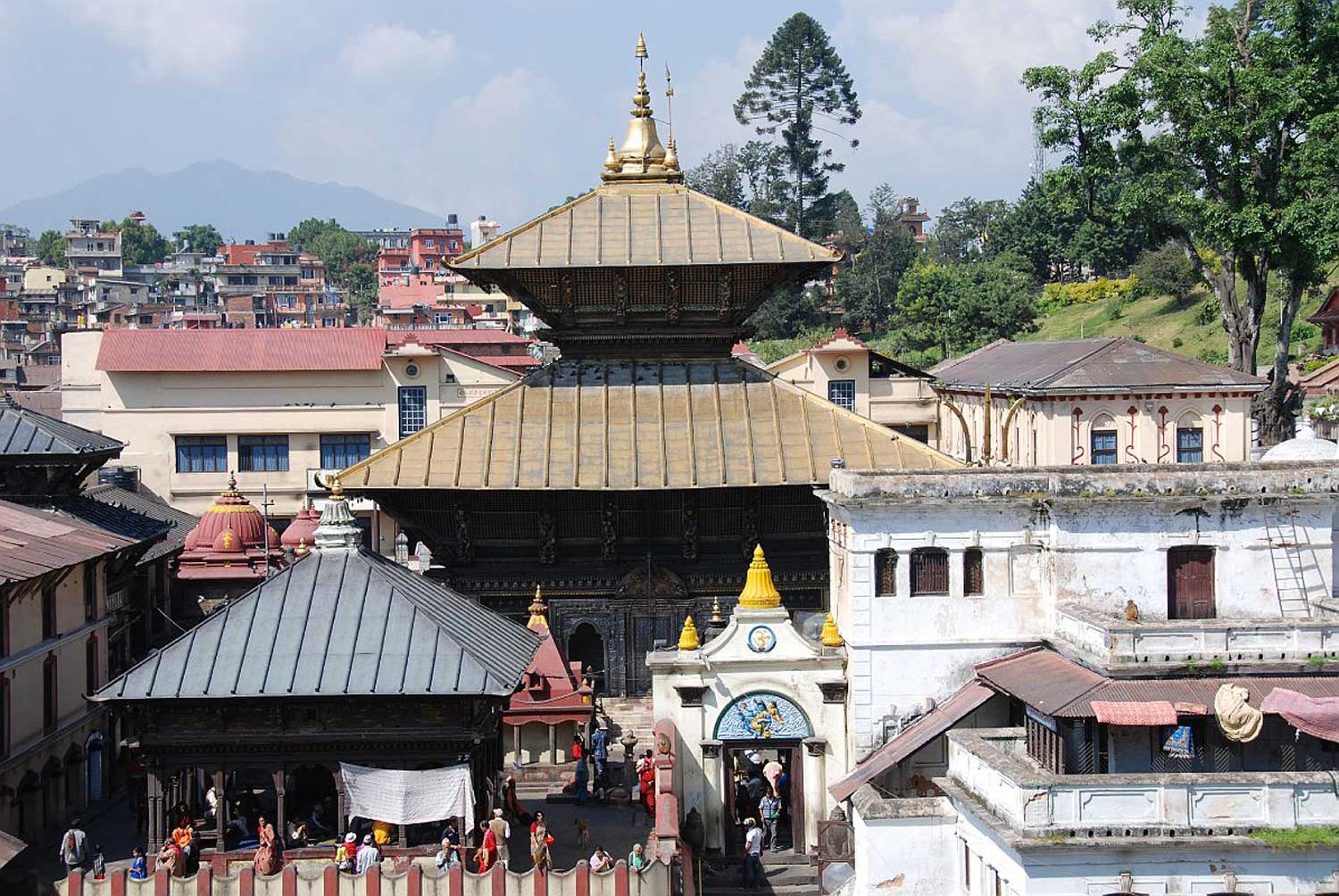 Hindu Temple Pasupatinath